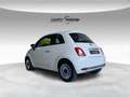 Fiat 500 My24 500 1.0 70 Cv Hybrid Wit - thumbnail 6