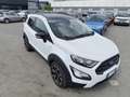 Ford EcoSport 1.0 EcoBoost 125 CV Start&Stop Active Bianco - thumbnail 7