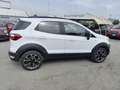 Ford EcoSport 1.0 EcoBoost 125 CV Start&Stop Active Bianco - thumbnail 6