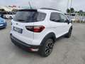 Ford EcoSport 1.0 EcoBoost 125 CV Start&Stop Active Bianco - thumbnail 5
