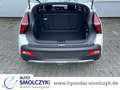 Hyundai BAYON 48V DCT TREND APPLECARPLAY+SITZHEIZUNG+PDC Weiß - thumbnail 13