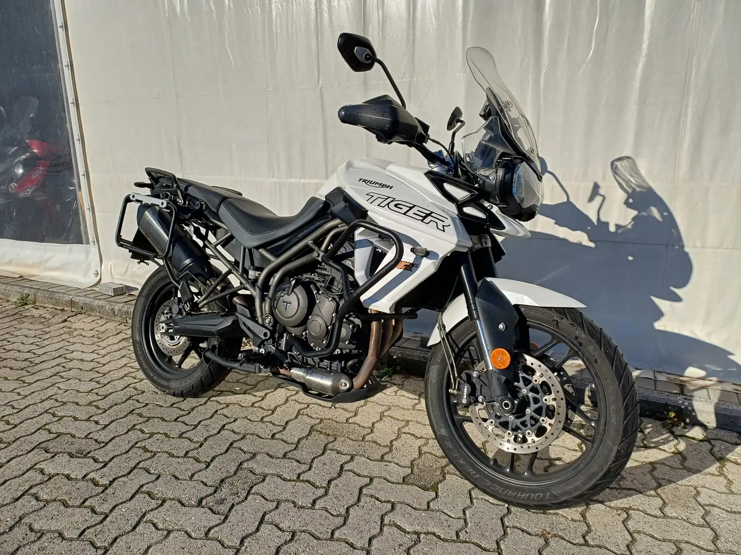 Triumph Tiger 800 TRIUMPH TIGER 800 ANNO 2018 KM 52.000 Bianco - 2