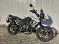 Triumph Tiger 800 TRIUMPH TIGER 800 ANNO 2018 KM 52.000 Blanc - thumbnail 3