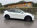 Tesla Model Y AWD 79kWh Performance - thumbnail 1