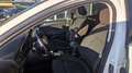 Ford Focus 2,0 EcoBlue SCR Traveller Vignale aut. Blanc - thumbnail 9