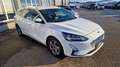 Ford Focus 2,0 EcoBlue SCR Traveller Vignale aut. Blanc - thumbnail 3