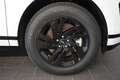Land Rover Range Rover Evoque R-Dynamic S Weiß - thumbnail 17