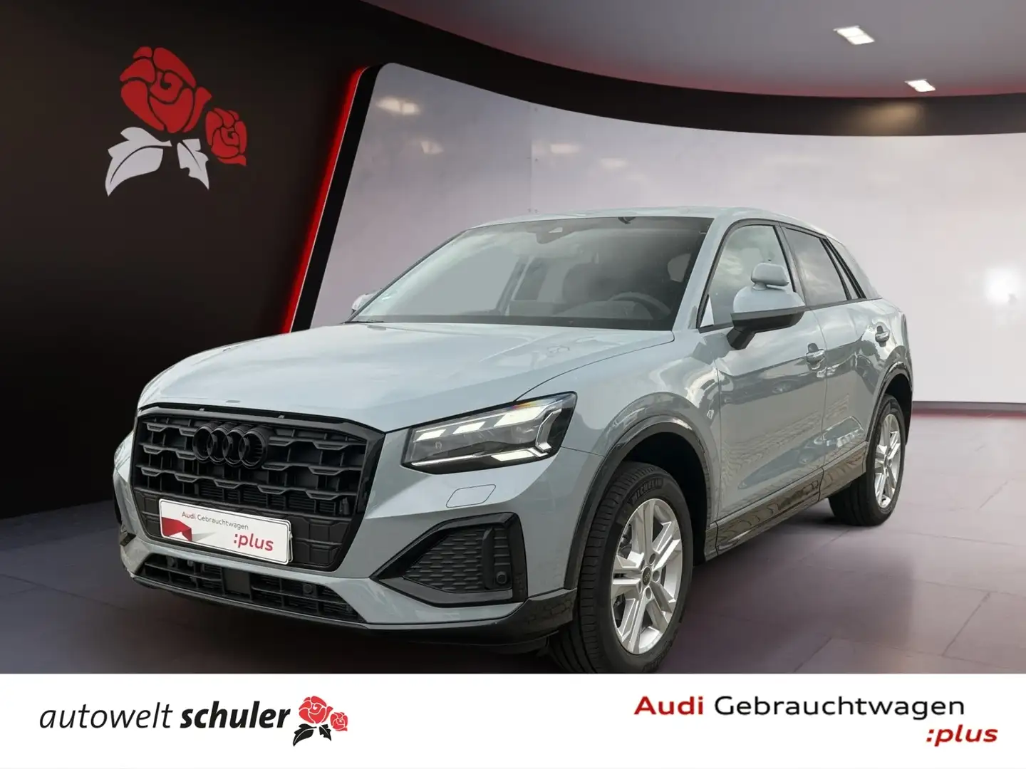 Audi Q2 30 2.0 TDI advanced Matrix-LED RFK GRA ASI Grau - 1