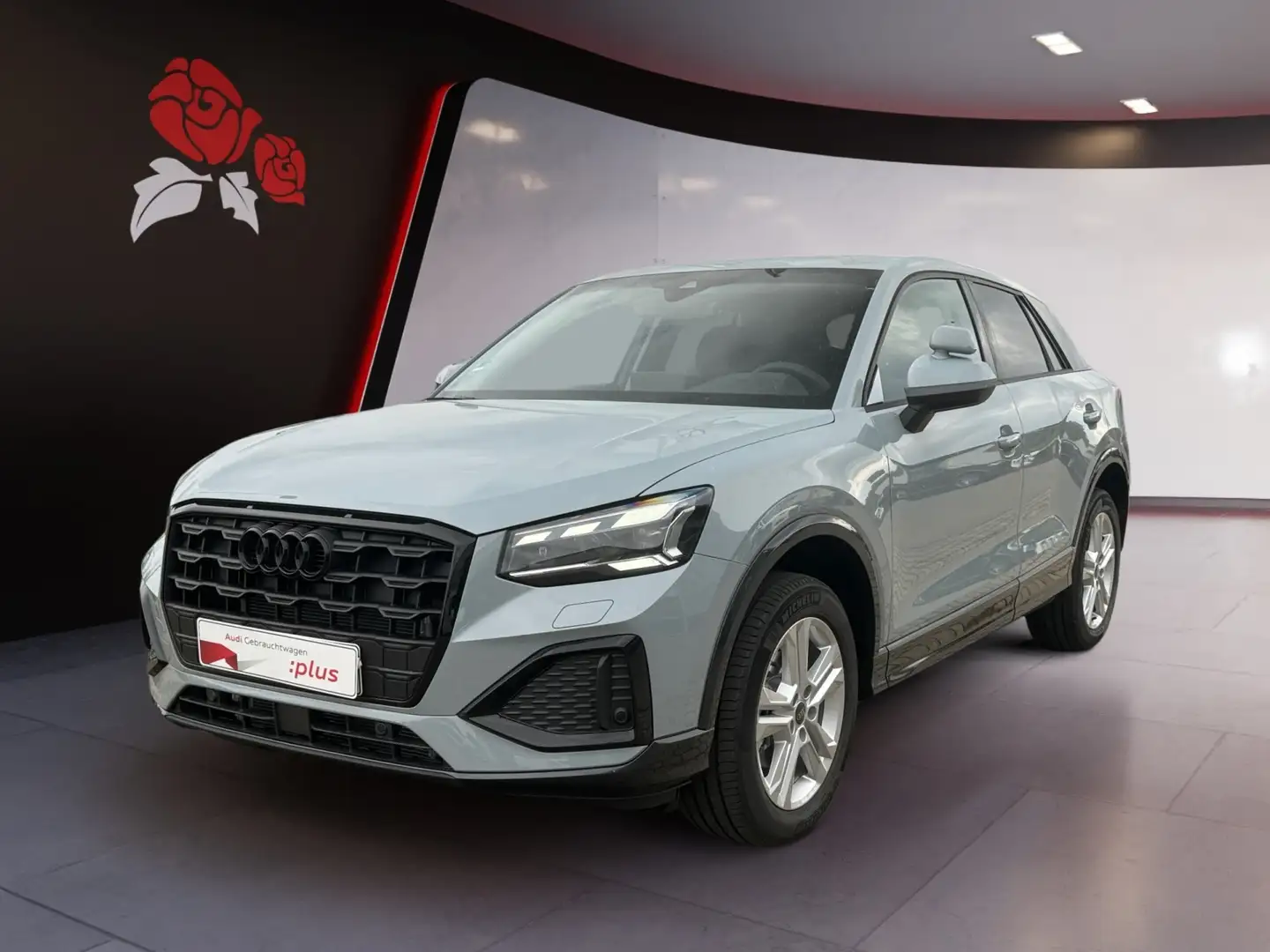 Audi Q2 30 2.0 TDI advanced Matrix-LED RFK GRA ASI Grau - 2