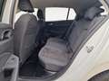 Volkswagen Golf VIII 1.5 eTSI Style Massage ParkAss. 4xSHZ Weiß - thumbnail 9