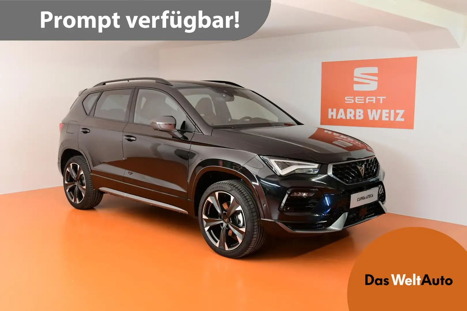 CUPRA Ateca 2.0 TSI DSG 4Drive 190 Schwarz - 1