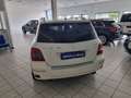 Mercedes-Benz GLK 220 GLK 220 CDI 4Matic BlueEFFICIENCY Sport Wit - thumbnail 6