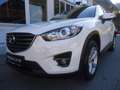 Mazda CX-5 CD150 Challenge Weiß - thumbnail 1