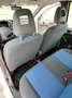 Fiat Panda Panda 1.2 Dynamic 69cv E5 Bianco - thumbnail 11