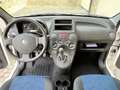 Fiat Panda Panda 1.2 Dynamic 69cv E5 Bianco - thumbnail 8
