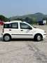Fiat Panda Panda 1.2 Dynamic 69cv E5 Bianco - thumbnail 4