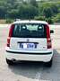Fiat Panda Panda 1.2 Dynamic 69cv E5 Bianco - thumbnail 5