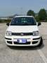 Fiat Panda Panda 1.2 Dynamic 69cv E5 Bianco - thumbnail 2