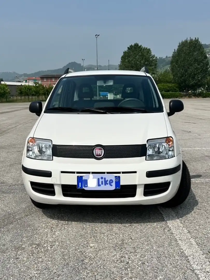 Fiat Panda Panda 1.2 Dynamic 69cv E5 Bianco - 2
