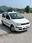 Fiat Panda Panda 1.2 Dynamic 69cv E5 Bianco - thumbnail 3