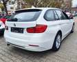 BMW 316 316 d Bianco - thumbnail 5