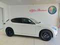 Alfa Romeo Stelvio Stelvio 2.2 Turbodiesel 210 CV AT8 Q4 Veloce Tì Wit - thumbnail 4