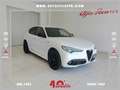 Alfa Romeo Stelvio Stelvio 2.2 Turbodiesel 210 CV AT8 Q4 Veloce Tì Wit - thumbnail 1