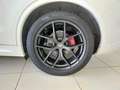 Alfa Romeo Stelvio Stelvio 2.2 Turbodiesel 210 CV AT8 Q4 Veloce Tì Wit - thumbnail 7