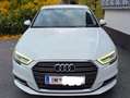 Audi A3 A3 SB 1,6 TDI Weiß - thumbnail 7
