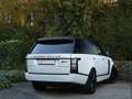 Land Rover Range Rover 4.4 SDV8 SVAutobiography Bianco - thumbnail 3