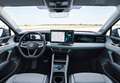 Volkswagen Tiguan 2.0TDI BMT R-Line 4Motion 150 Grau - thumbnail 23