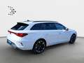 CUPRA Leon SP 1.5 eTSI DSG*2025*NAVI*KAM*SHZ*Assist*18 Weiß - thumbnail 20
