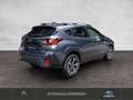 Subaru Crosstrek Style Grau - thumbnail 6