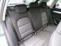 Audi Q3 2.0 TDI 88kW S tronic Grau - thumbnail 13