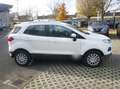 Ford EcoSport Trend*FSH*SHZ*KLIMAAUTOMATIK* - thumbnail 4