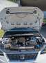 SEAT Ibiza 1,0 Reference Weiß - thumbnail 13