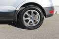 Ford EcoSport 1,0 EcoBoost Titanium Silber - thumbnail 5