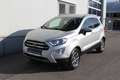 Ford EcoSport 1,0 EcoBoost Titanium Silber - thumbnail 1