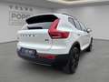 Volvo XC40 B3 Plus Black Edition 20" 360° ACC FHZ H&K Weiß - thumbnail 14