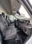 Ford Transit Kasten 350 L3 Trend  Technologie-Paket Weiß - thumbnail 11