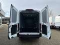 Ford Transit Kasten 350 L3 Trend  Technologie-Paket Weiß - thumbnail 6
