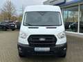 Ford Transit Kasten 350 L3 Trend  Technologie-Paket Weiß - thumbnail 2