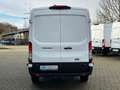 Ford Transit Kasten 350 L3 Trend  Technologie-Paket Weiß - thumbnail 5