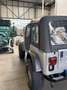 Jeep Wrangler 4.2 Grijs - thumbnail 4