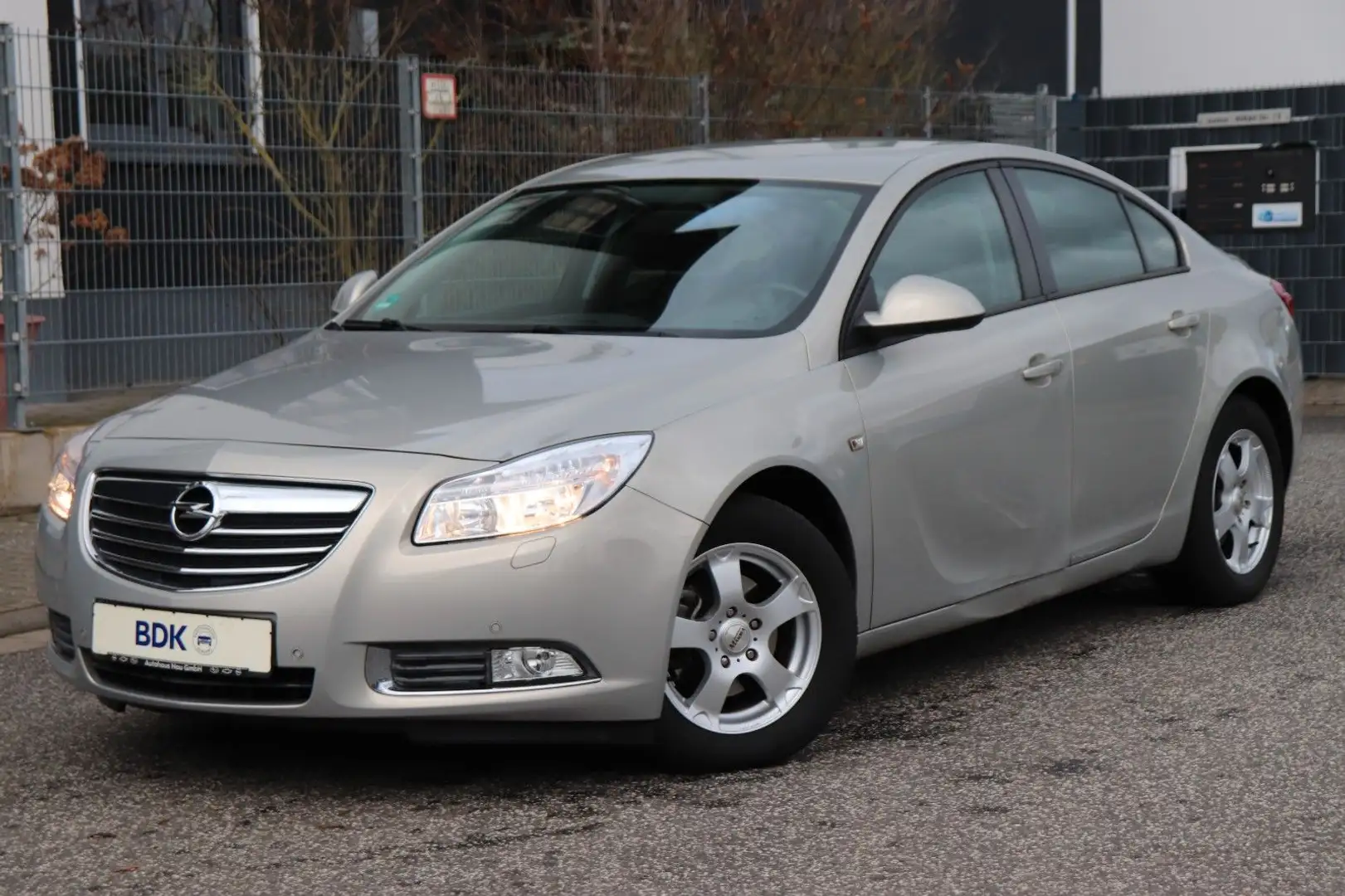 Opel Insignia A Lim. Selection Wagen Nr.:036 Argento - 1