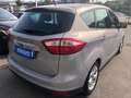 Ford C-Max C-Max II 2010 1.6 ecoboost Titanium 150cv Argento - thumbnail 4