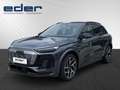 Audi SQ6 e-tron e-tron Grau - thumbnail 1