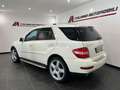 Mercedes-Benz ML 350 Classe M 320cdi Premium auto FL TETTO + PELLE Wit - thumbnail 4