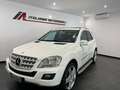Mercedes-Benz ML 350 Classe M 320cdi Premium auto FL TETTO + PELLE Wit - thumbnail 1