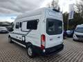 Etrusco Campervan Ford 24 CV600DF I Edition Complete Se... Weiß - thumbnail 5